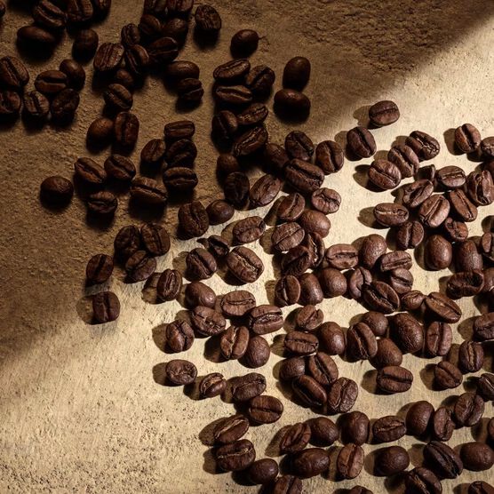 DG DEVOTION FOR MEN PARFUM 100ML